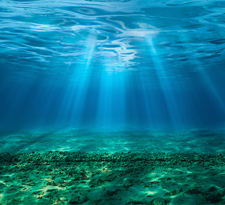Light streaming down from the sky through the water onto the seabed.