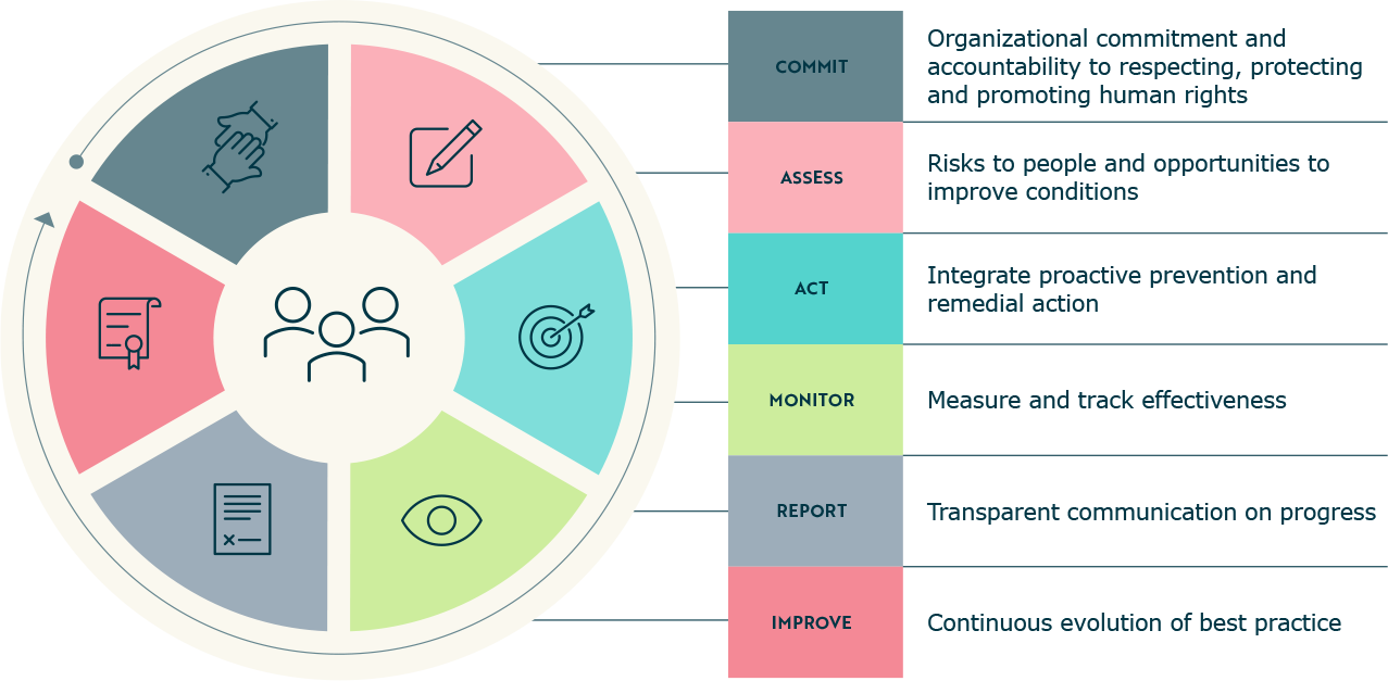 Circular diagram illustrating the business and human rights framework with six stages: commit, assess, act, monitor, report and improve.