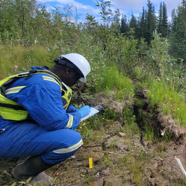 Field environmental work